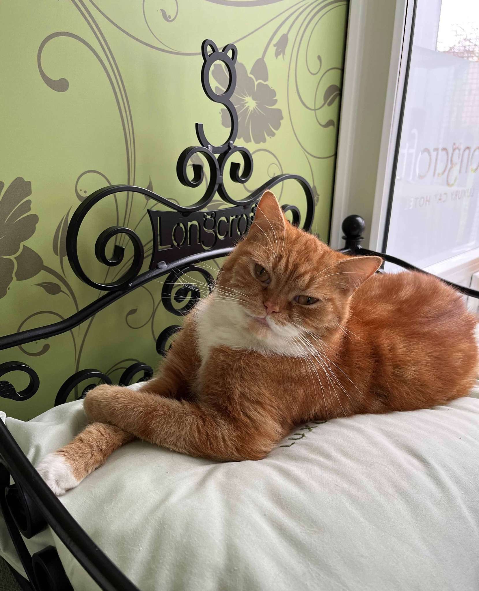 504100552_1294524749345950_5746354470814000391_n-3